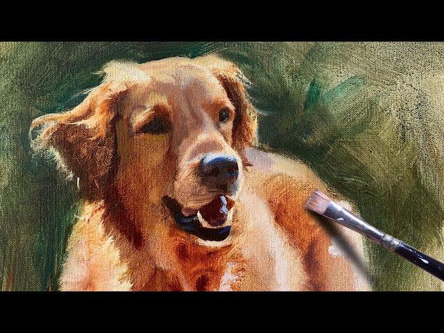 Golden Retriever Oil Painting | How to Paint Dogs Alla Prima