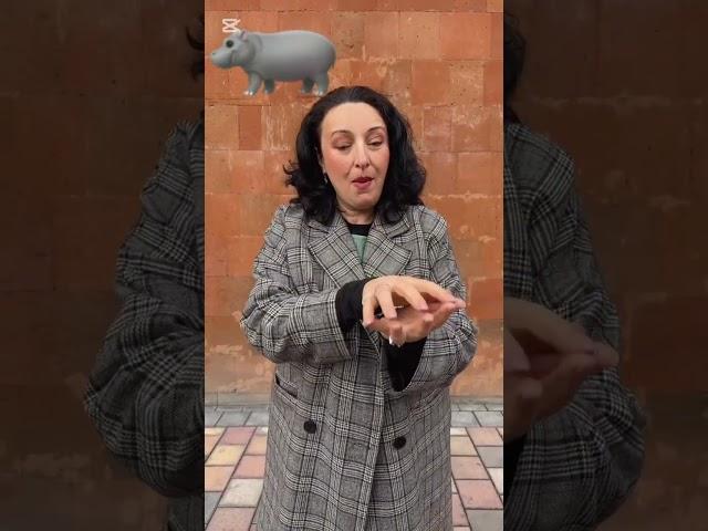 Жестовый Язык #armeniandeaf #signlanguage #deafkids #leteverydeafchildspeak #deaf #ржя #сурдоперевод