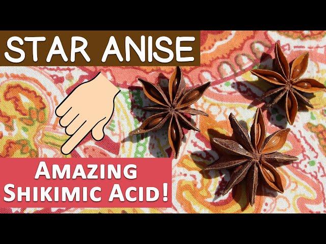 Star Anise Uses and Info List, Source of Shikimic Acid?