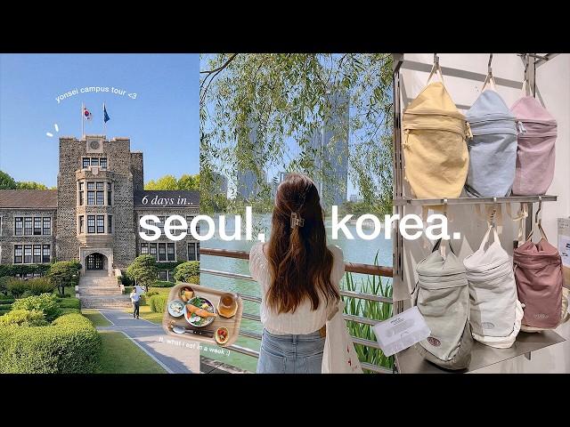 KOREA VLOG 🫧 yonsei tour, fav cafes in yeonnam, solo shopping | 6 days in SEOUL (eng/kor)