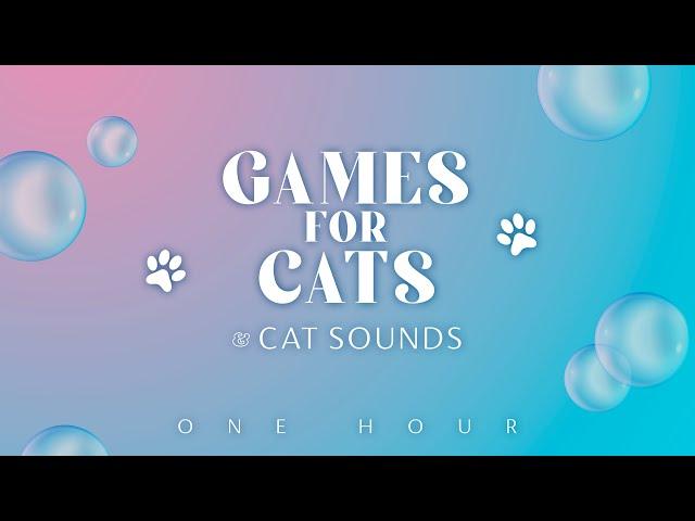 VIDEOS FOR CATS: Pop the Bubble! 🫧  No mid-roll ads - ONE HOUR