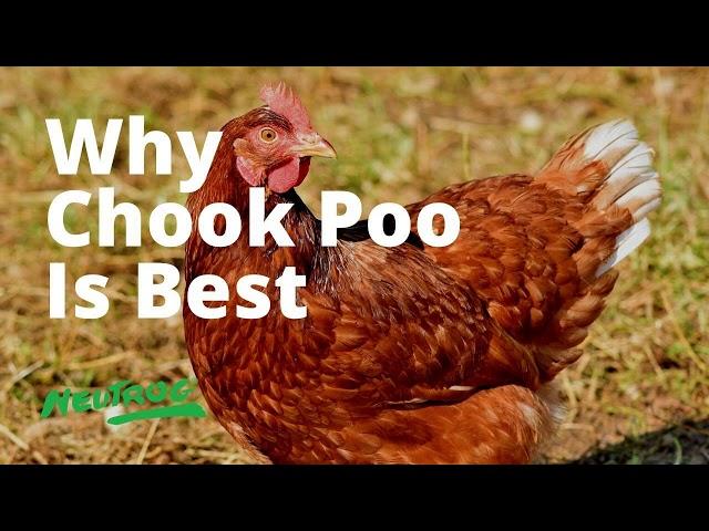 Neutrog TV | Why Chicken Poo is best for your garden + Seamungus