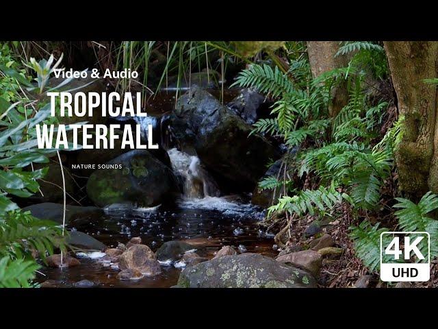 Tropical Waterfall & Audio - Nature & Meditation