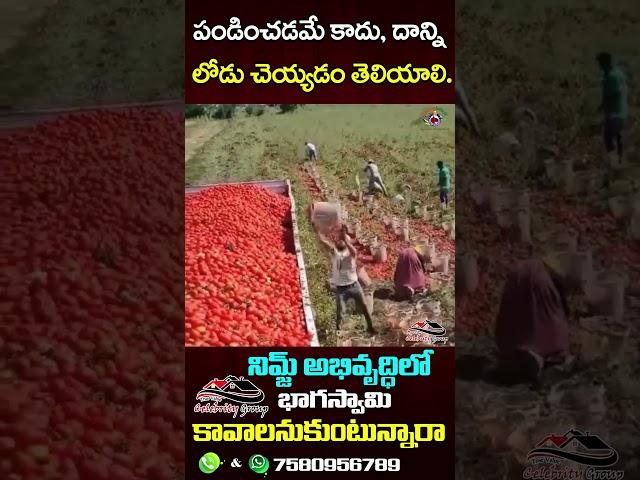 రైతన్న తరువాతే ఎవ్వరైనా.. || @Wakeup India TV