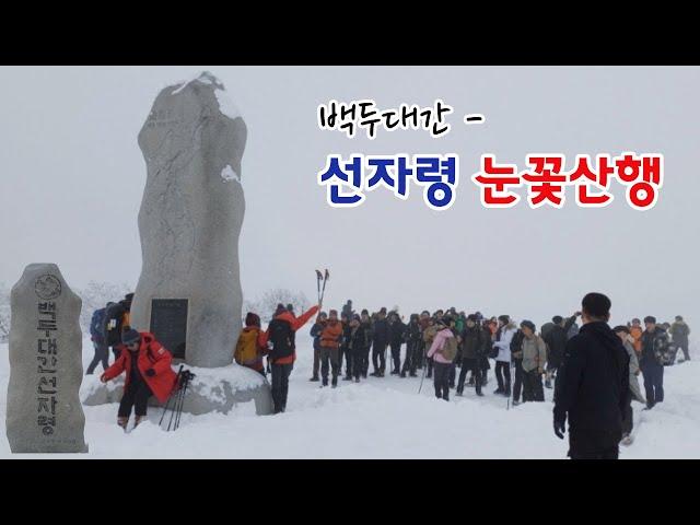 폭설 내린 선자령 눈꽃산행  : 겨울산행의 성지 / 초보자 등산 가능한 눈꽃산행지 / 산림청 명품숲길 50선 / 백두대간 / 강원도 가볼만한 산