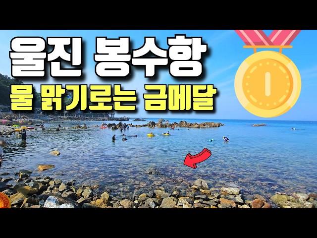 스노클링 금메달이 있다면 바로여기 | 모노레일이 보이는 울진 봉수항 | 울진여행(은어다리,성류굴 등)