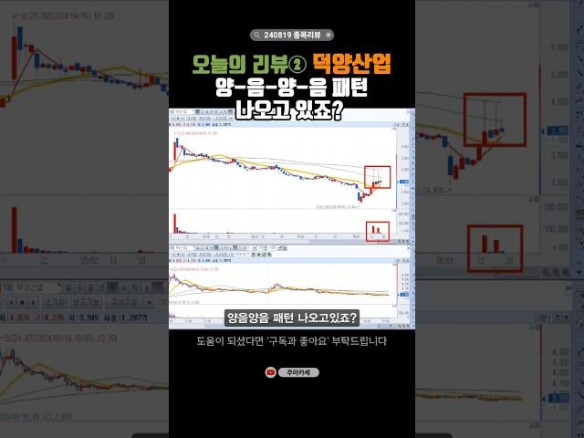 덕양산업 양음양음 패턴 다음은 양봉?