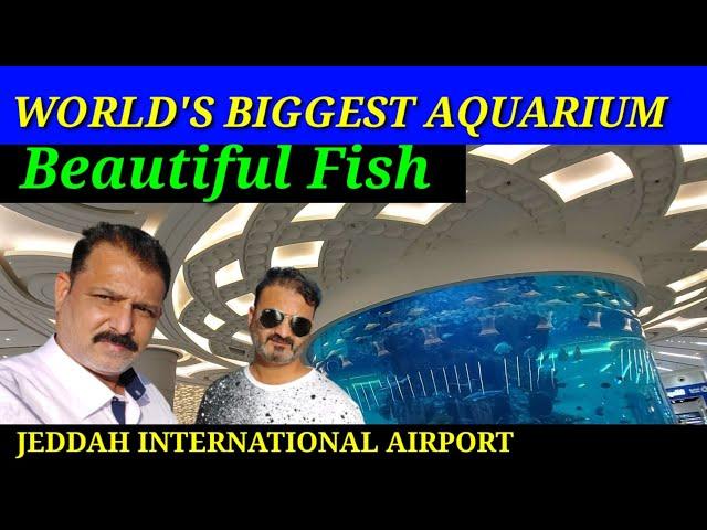 world's Biggest Fish Aquarium | Jeddah international Airport | 2021