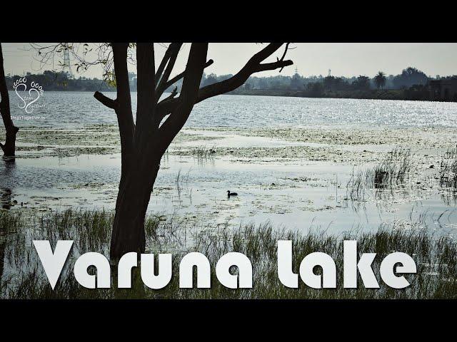 Varuna Lake & Sutturu, Mysore | Mysore outskirts | Outback adventures | Steps Together