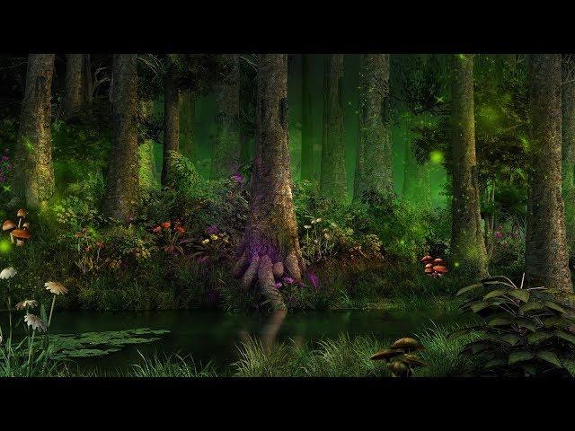 Mystical Forest Music - Enchanting Magical Creatures