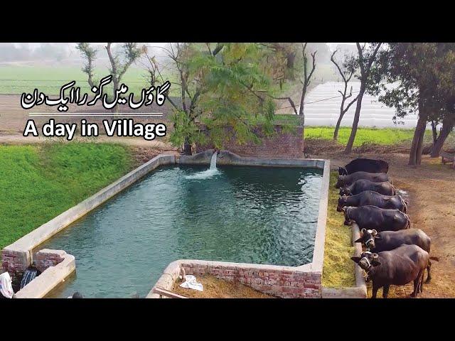 Beautiful Village in Pakistan | Best Lifestyle