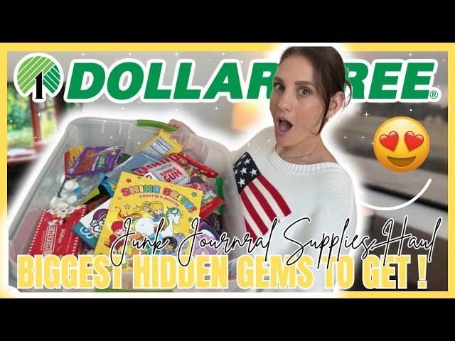 *OMG* BIGGEST DOLLAR TREE HAUL to DATE! Underrated Hidden Gems for $1.25