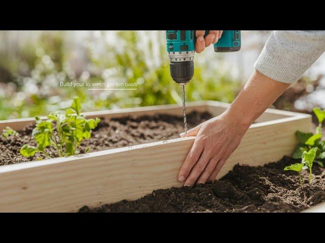 How To Build A Raised Garden Bed On A Budget! : Easy Step-by-Step Guide For Beginners