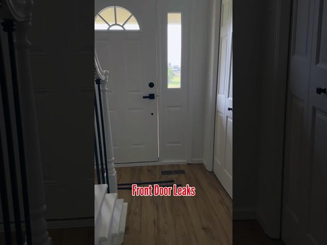 Front Door Leaks