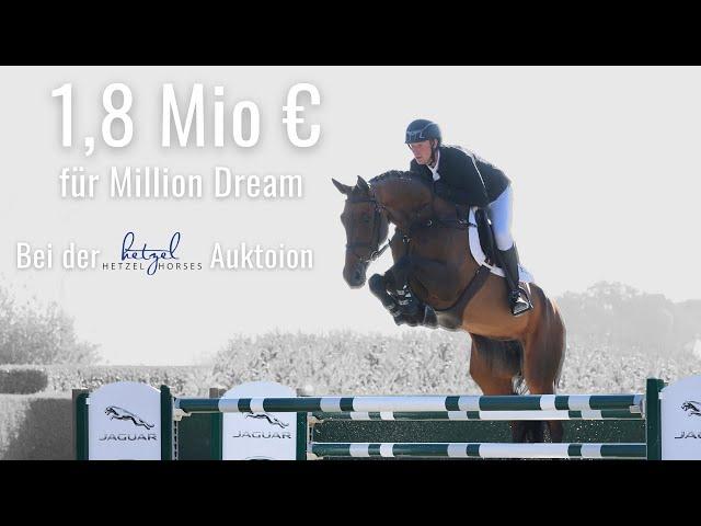 1,8 Mio €  | für Million Dream  | 16. Springpferdeauktion bei Holger Hetzel