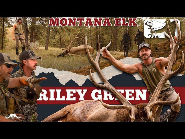 Riley Green Bowhunting Montana Elk | 3rd Times A Charm | Major League Bowhunter