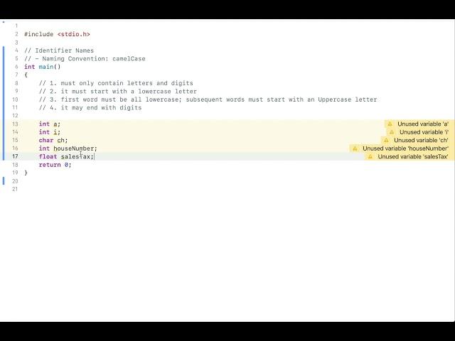 C Tutorial 3: The camelCase Naming Convention