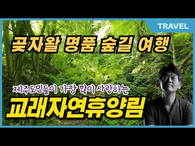 제주 생태계의 허파 속! 교래자연휴양림 곶자왈 숲길, 한국 명품숲길 선정 그리고 은근히 성깔 있는,  '태고의 신비' 간직한 교래자연휴양림속  큰지그리오름을 아시나요?