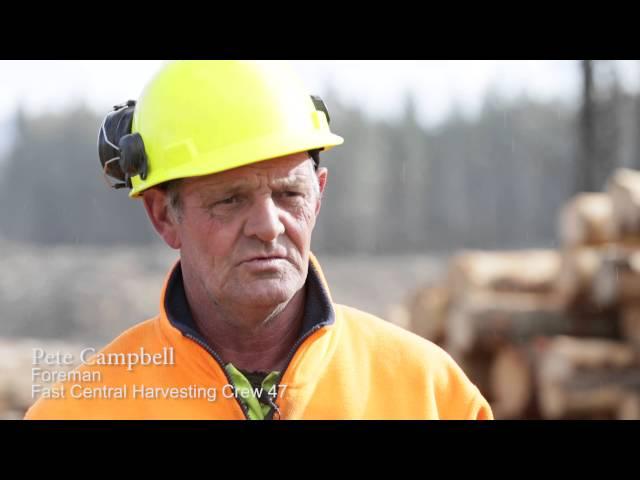 Cable Logging - Logsafe helping to protect  forestry workers.