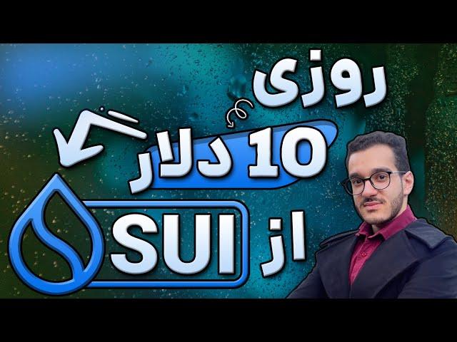 سود 800 درصدی در چین سویی | بیشترین سود در چین سویه | سولانای اینده اینه؟