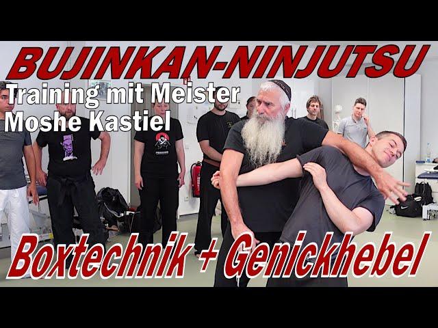 Bujinkan-Ninjutsu: Boxtechnik 1 - Nackenhebel