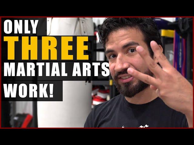 3 Best Martial Arts Styles | No, It's Not Yours