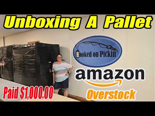 Unboxing an Amazon Pallet of Overstock and Shelf Pulls from other sellers. Paid $1,000.00