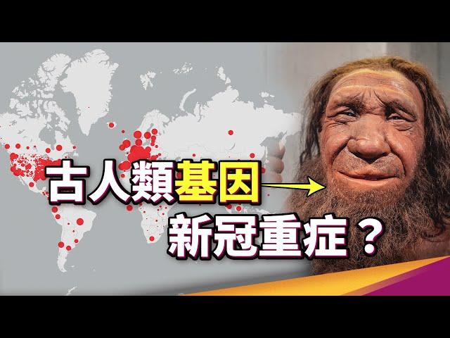 尼安德塔人 DNA 你我都有？諾貝爾生醫獎破解尼安德塔人與智人的情慾流動！