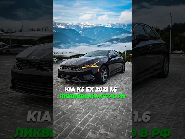 Цены на авто из Грузии 2024 #kiak5 #autopapa #пригонавто #авторынокгрузии