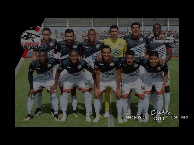 Sonido Local de Lobos BUAP |AULLIDO