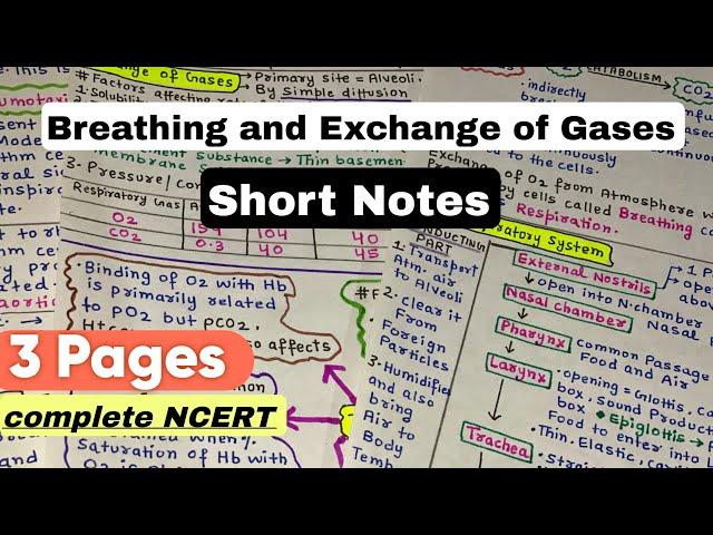 Breathing and Exchange of Gases | Short Handwritten Notes | NEET 2025 #biology  #neet2025