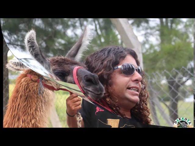 Egresados 2016 jardín 901 Merceditas 20/11/2016 — en Dakkota Eventos Chascomus