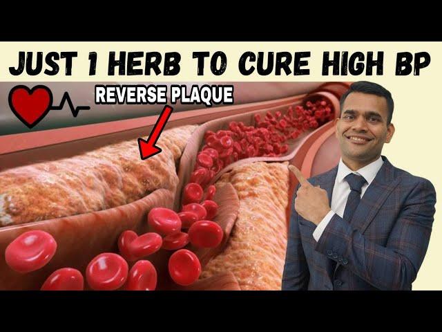 Just 1 Herb To Cure High Blood Pressure | 3 Ways To Treat High Blood Pressure