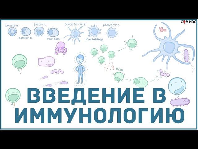 Введение в иммунологию