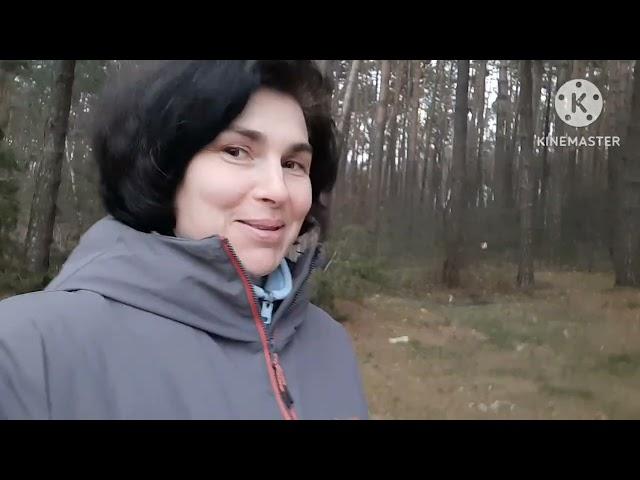 дачники-удачники #35 ( гуляем и ищем подснежники)