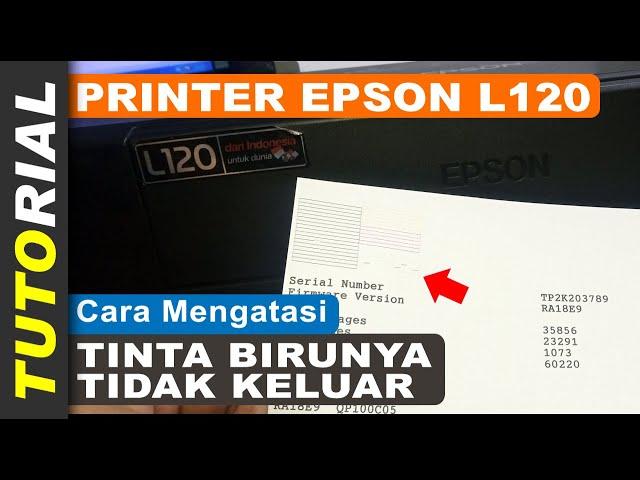 Cara Mengatasi Tinta Biru Epson L120 Tidak Keluar, Sudah Head Clean Tetap Tidak Keluar Normal