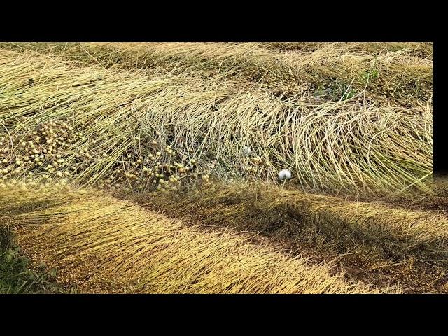 Where French Linen Comes From