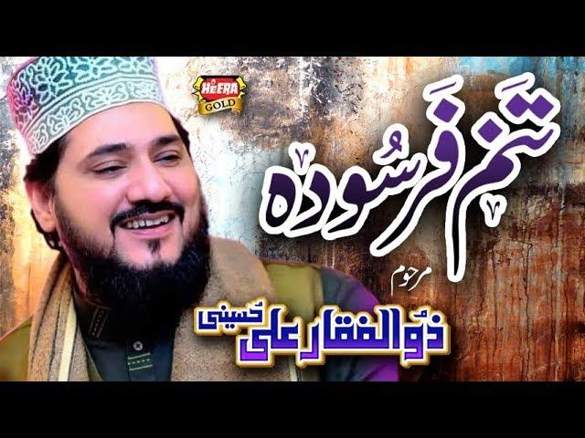 Late Zulfiqar Ali Hussaini Last Video - Tanam Farsooda - Heera Gold