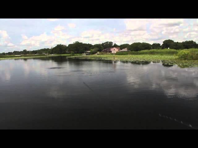 Sebile Action First Bull Minnow Extended Version