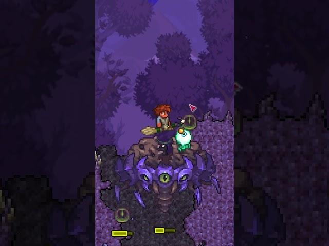 ЭТО ЛУЧШИЙ МОД ДЛЯ НОВИЧКОВ В CALAMITY! #terraria