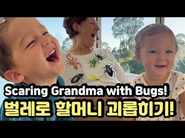 Having a Great Time with Grandchildren️ 장난꾸러기 손주들과 웃음 힐링하는 미국 할머니