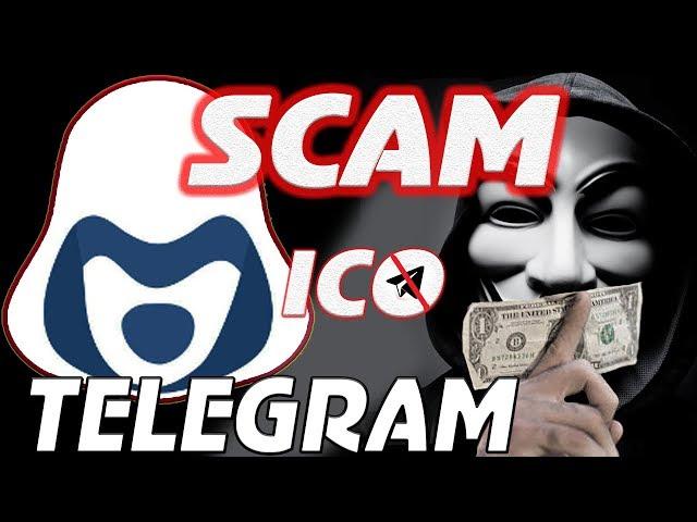 SCAM OR LOCK TELEGRAM? WHAT WILL TON ICO DO?