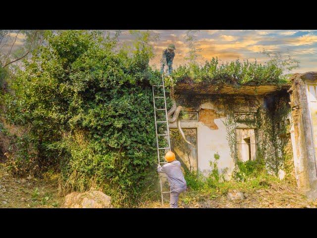 HORROR | GIANT ANACONDA Python ATTACKED PEOPLE WHILE CLEANING UP THE OLD HOUSE | clean up 91