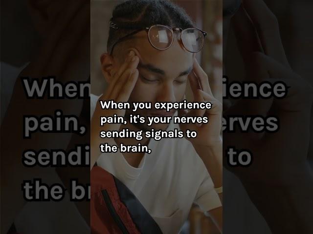 Surprising Facts About Your Brain