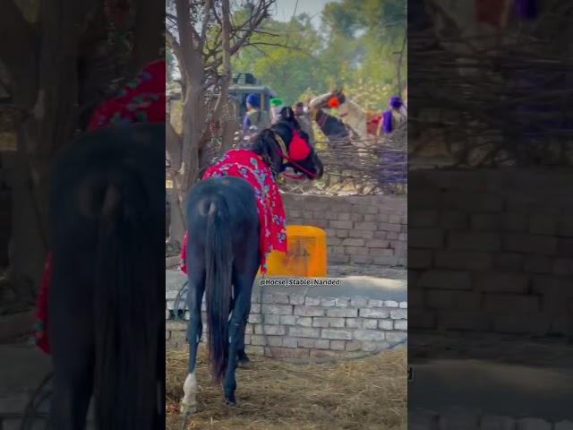 BABA CHARANJEET SINGH JI || DAL BABA BIDHI CHAND SAHIB JI