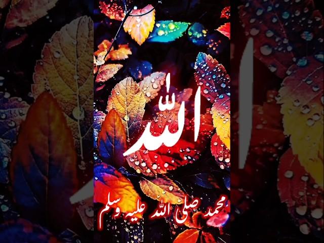 Islamic status 2  ll status # short # shorts #  viral short # rdp islamic status #rdp islamic short