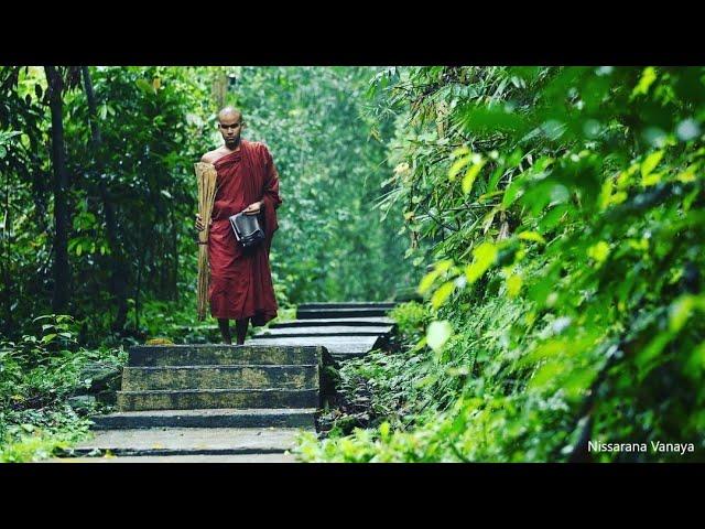 Kalyanamitta_Sutta|02|Most Ven Dhammajiva Maha Thero|2024-04-18