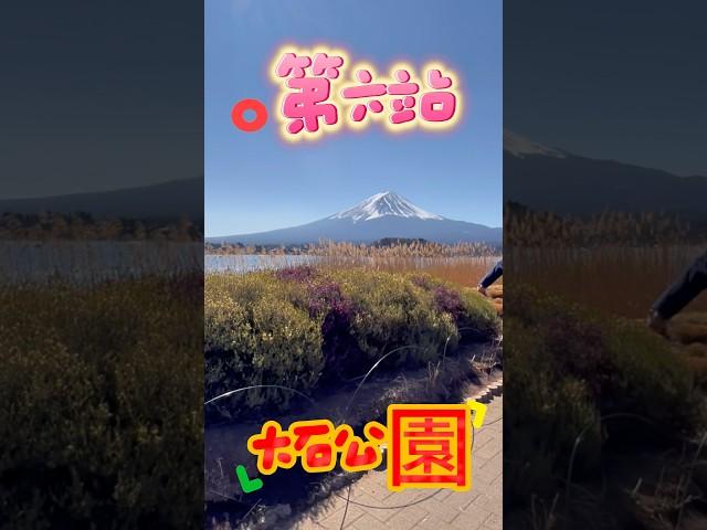 跟家人的旅遊就該這麼玩#下班愛旅行#東京#富士山#迪士尼