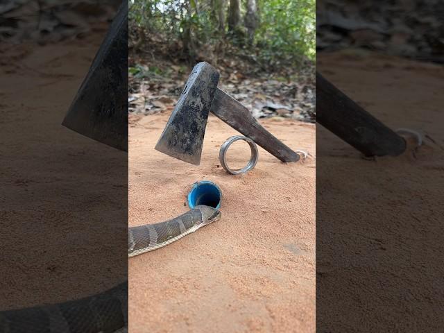 DIY Snake Trap using Axe &hole with pvc#creativesnaketrap#