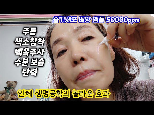 피부재생의 놀라운 기적/줄기세포 배양 앰플50000ppm/주름 미백 속건조 탄력/주문폭주!!/1병에5900원 미친공구중....